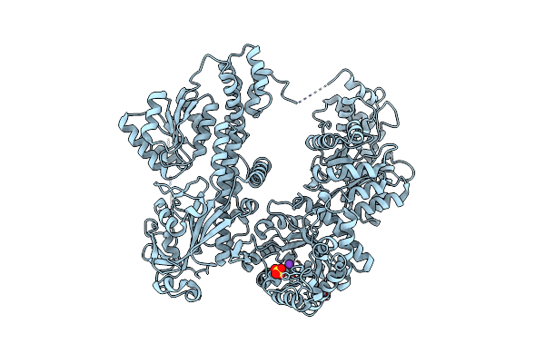 8SSC image