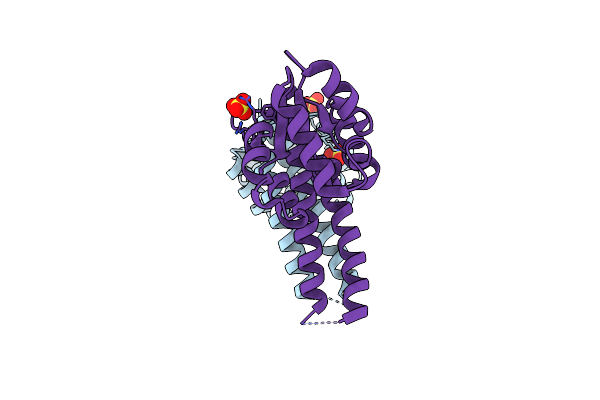 8SSF image