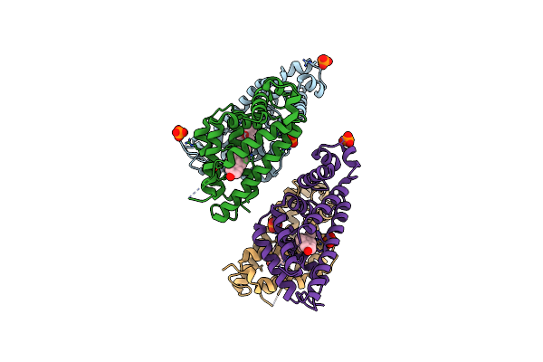 8SSH image