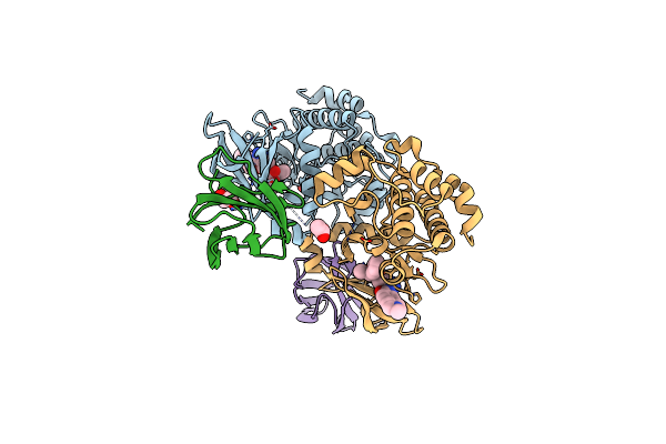 8SSO image