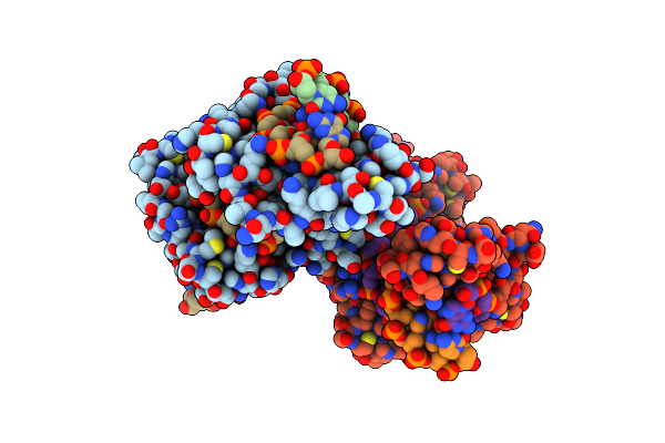 8SST image