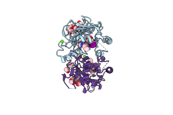 8SSV image