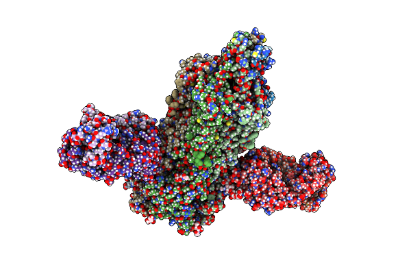 8SSZ image