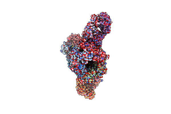 8ST2 image