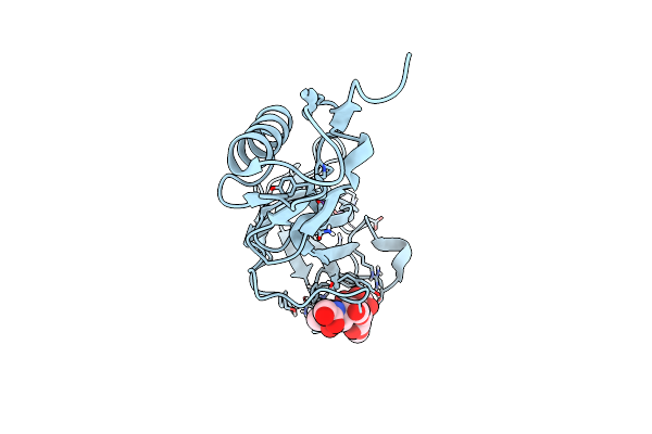 8ST6 image