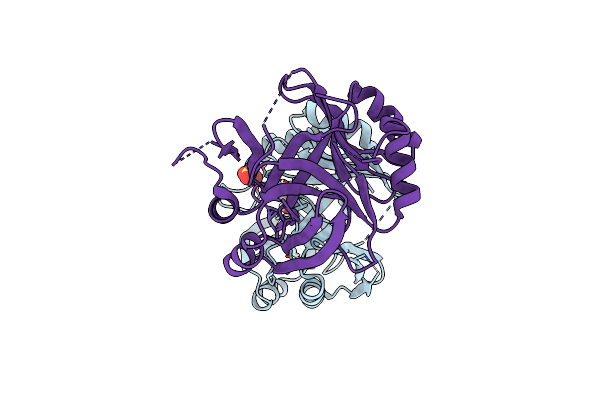 8STB image