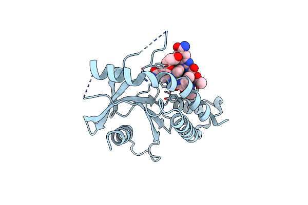 8STI image