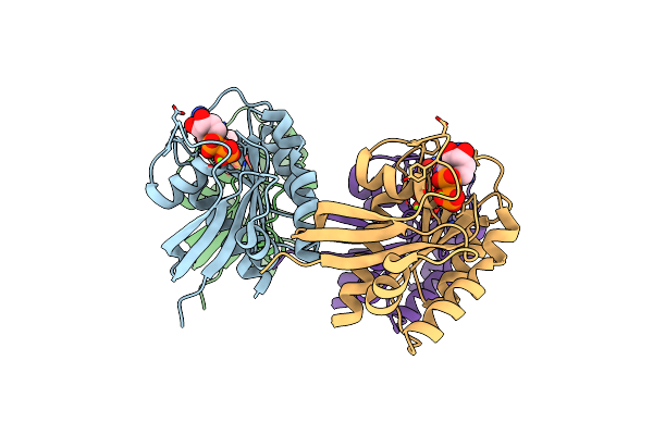 8STM image