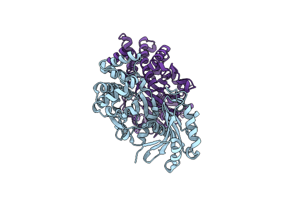 8STX image