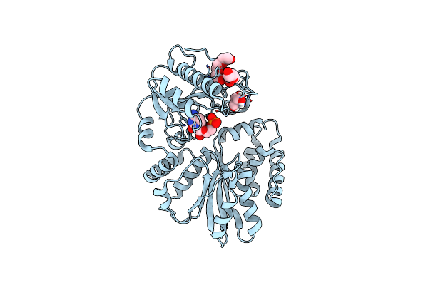 8SV2 image