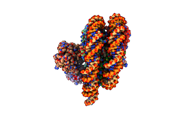 8SVF image