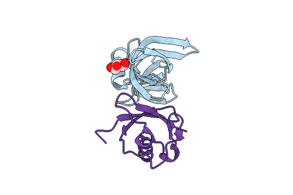 8SVI image