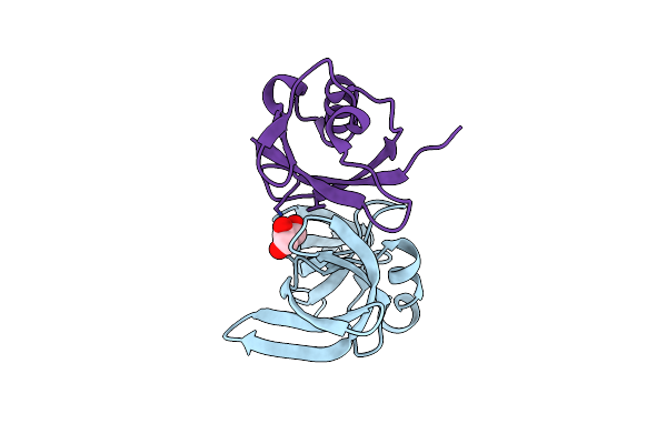 8SVJ image
