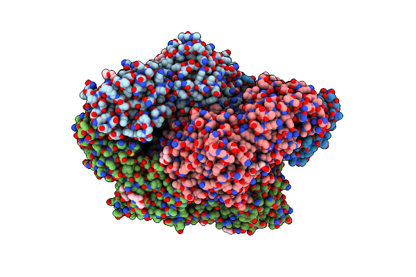 8SVM image