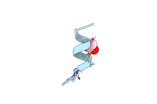 8SW2 image