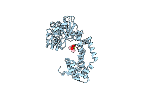 8SWM image
