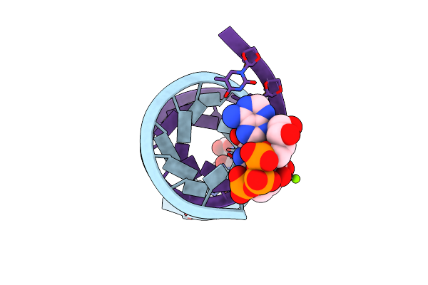 8SWO image