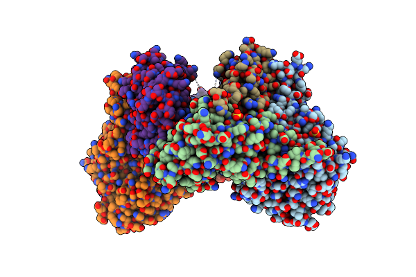 8SWS image