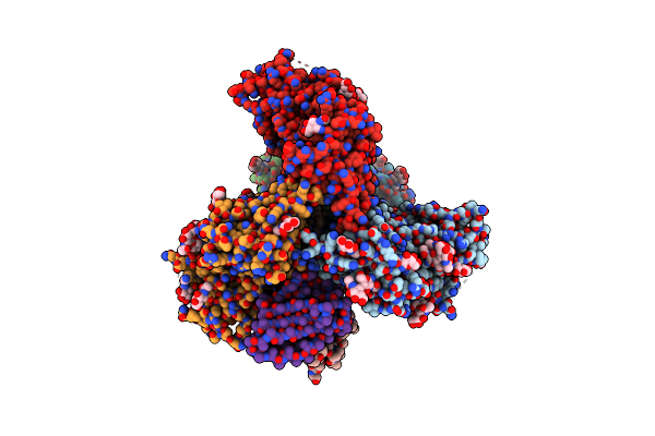 8SWW image