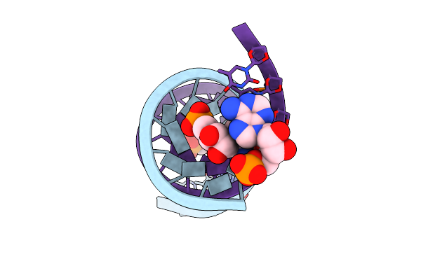 8SXL image
