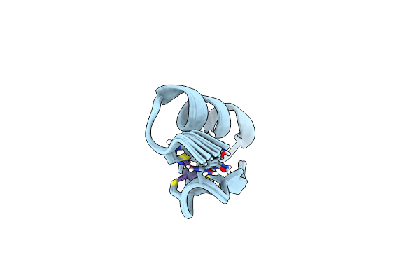 8SXM image