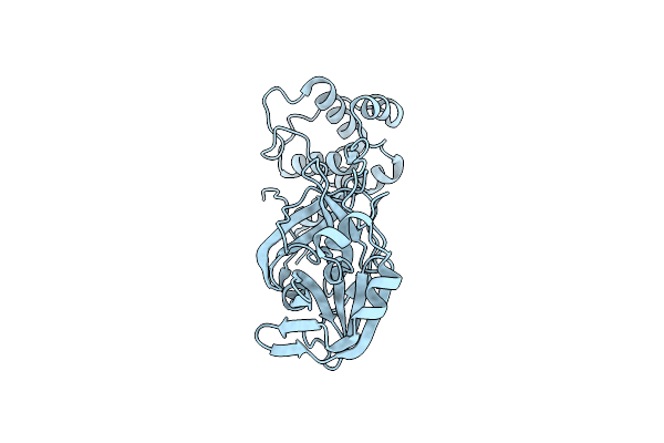 8SXO image