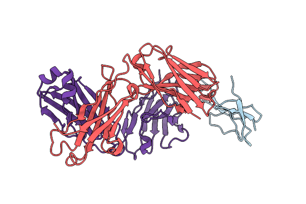 8SXP image