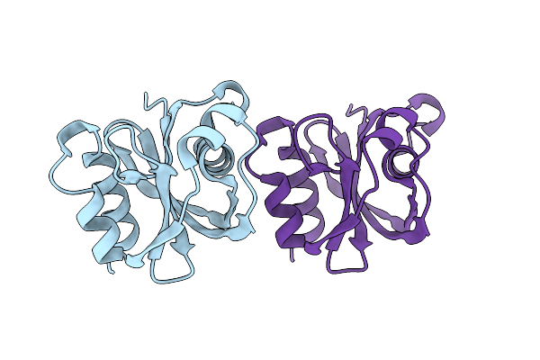 8SXS image