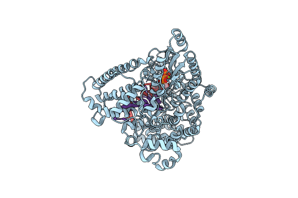 8SXT image