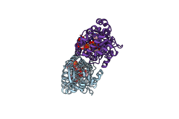 8SYB image