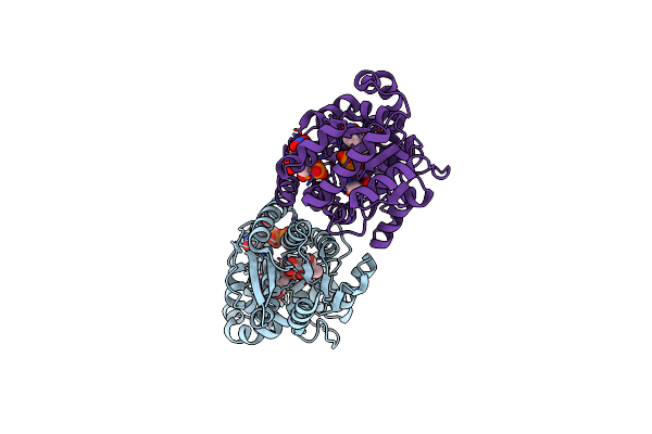 8SYE image