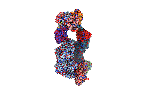 8SYF image