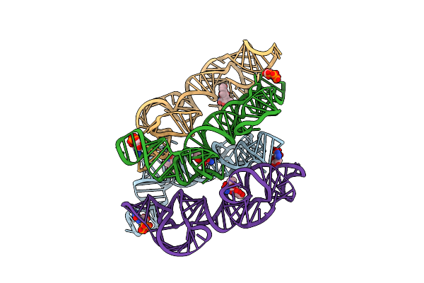 8SYK image