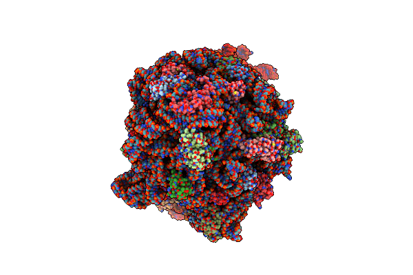 8SYL image
