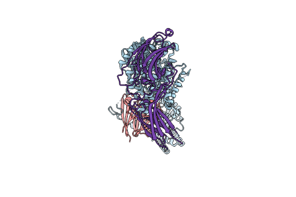 8SYN image
