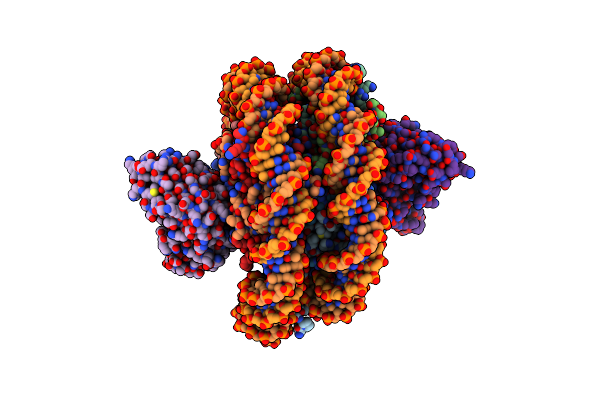 8SYP image