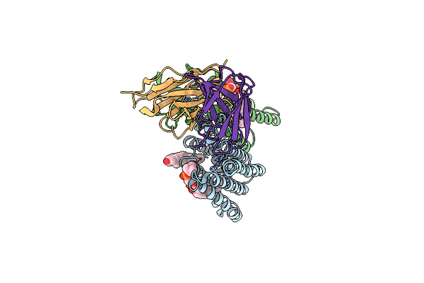8T05 image