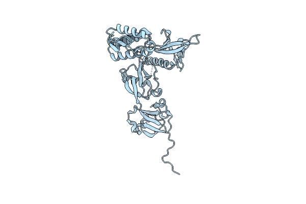 8T0D image