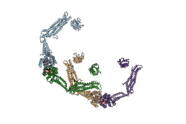 8T0K image