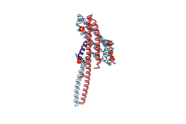 8T0P image