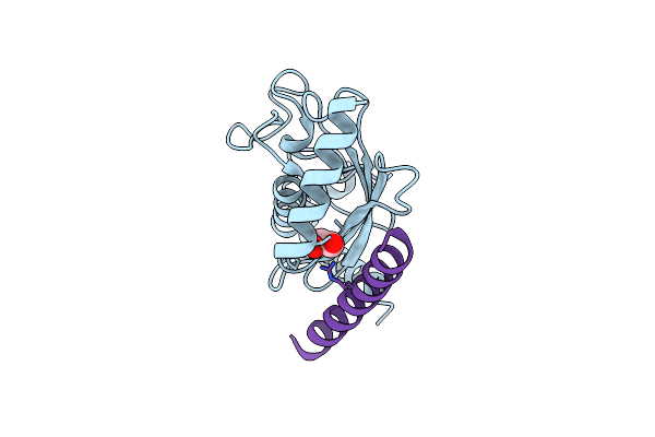 8T0S image