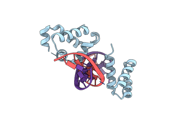 8T11 image