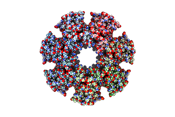 8T17 image