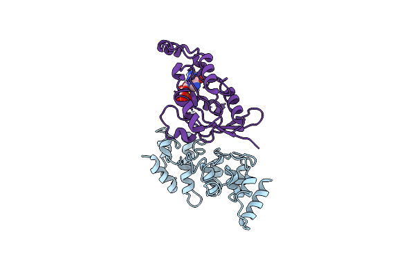 8T1C image