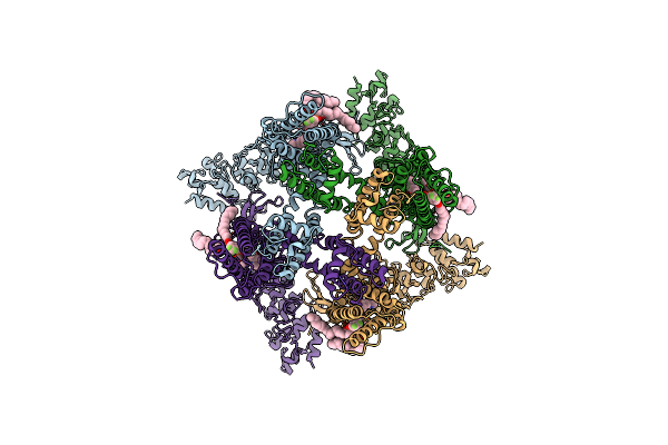 8T1F image