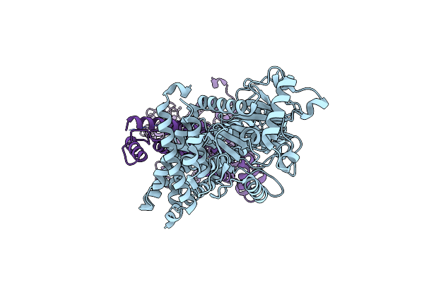 8T1H image