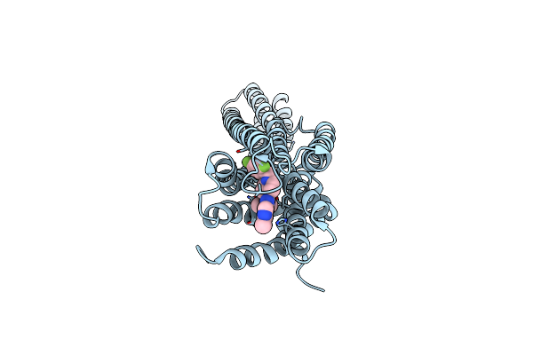 8T1V image