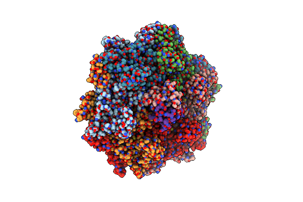 8T1X image
