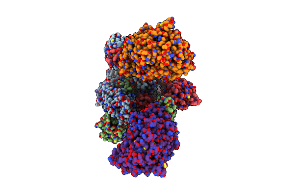 8T20 image