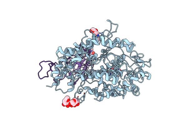8T23 image